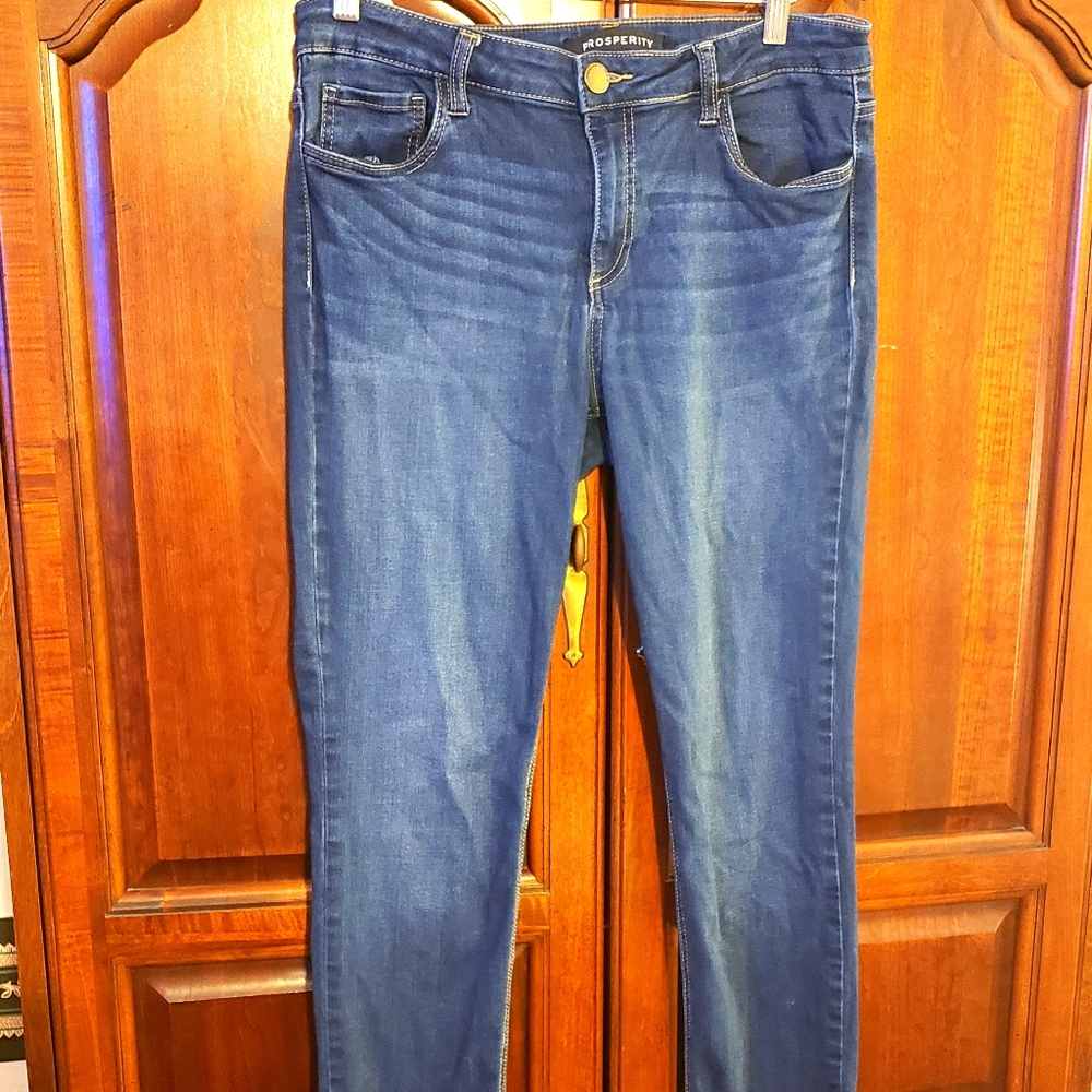 Prosperity Jeans 15/31